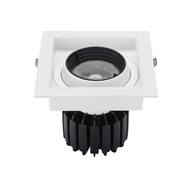 30W downlight.jpg