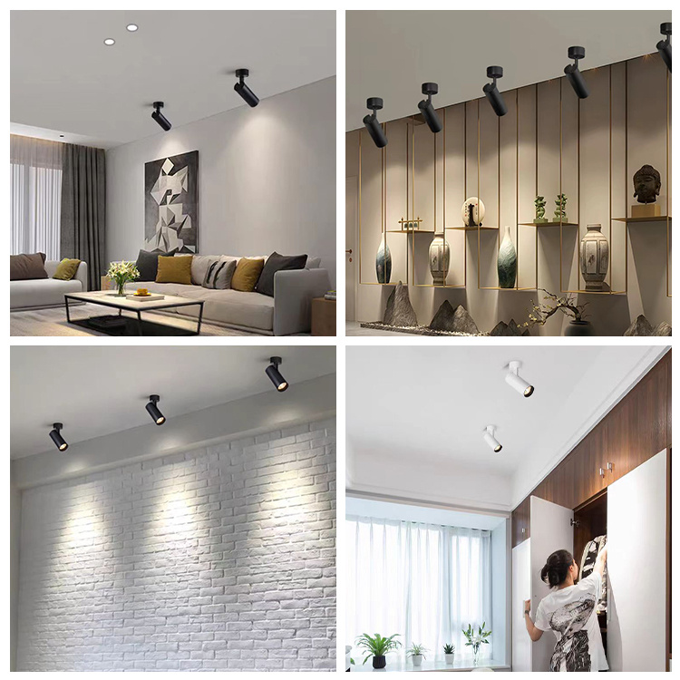 Ceiling mounted track lighting