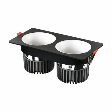 Custom Luminaire Recessed Lighting Downlight Zigbee FT-GL07 Double Head