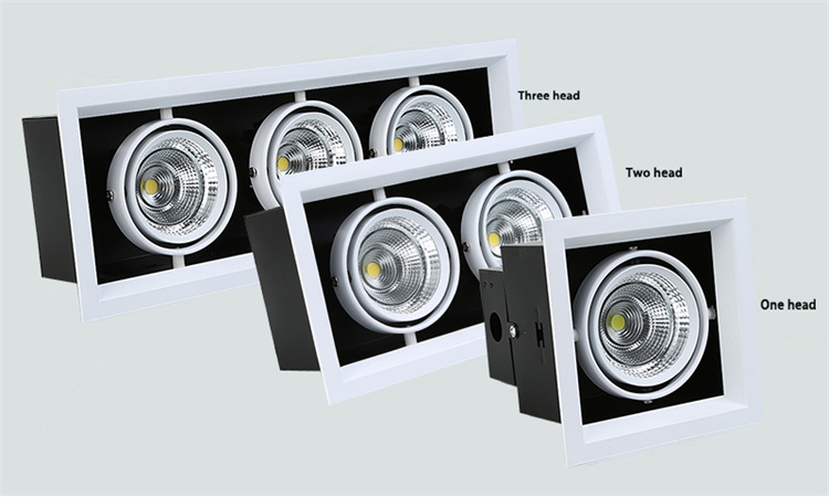 Doul head grille light