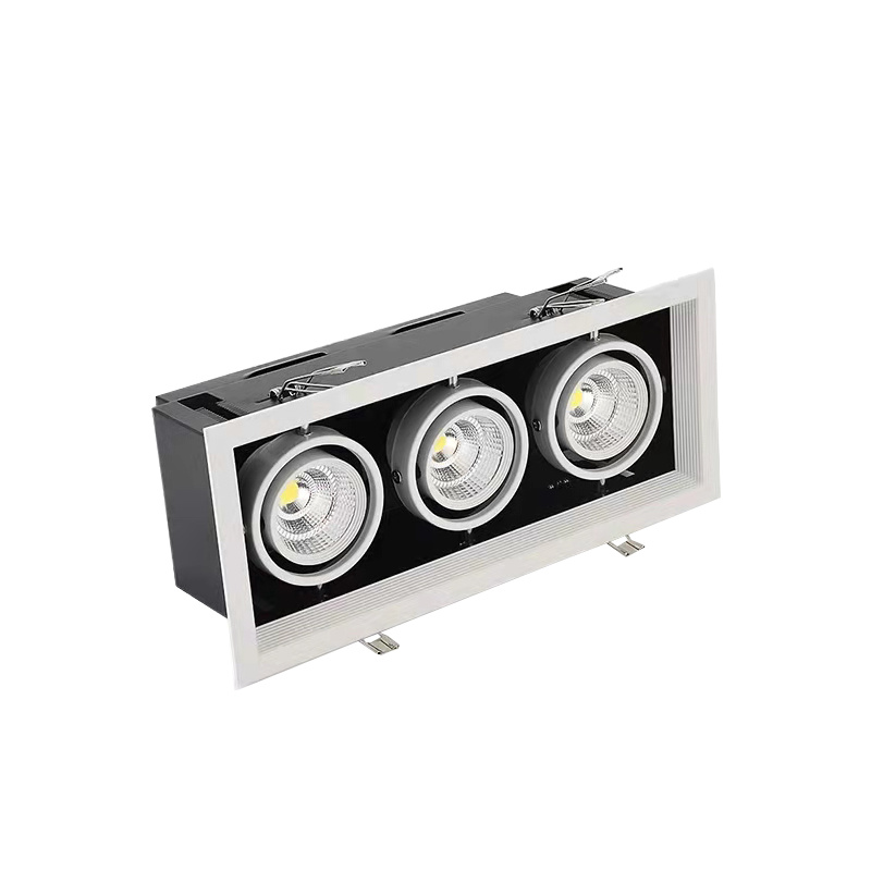 Doul head recessed downlight.jpg