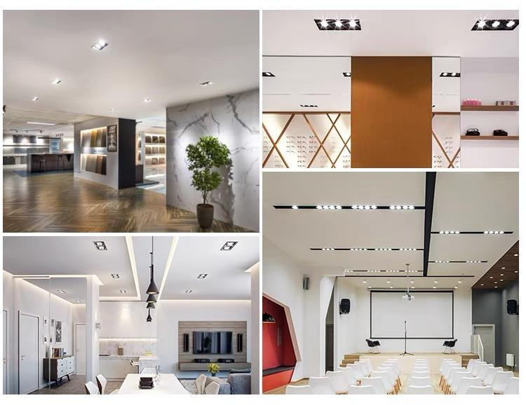 Downlight for shops