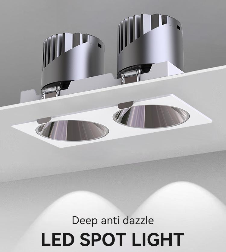 Dual spot light