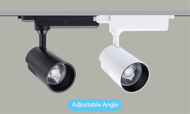 False ceiling track light