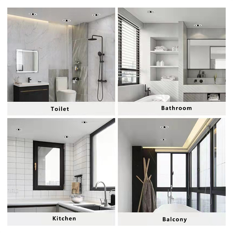 bathroom downlight