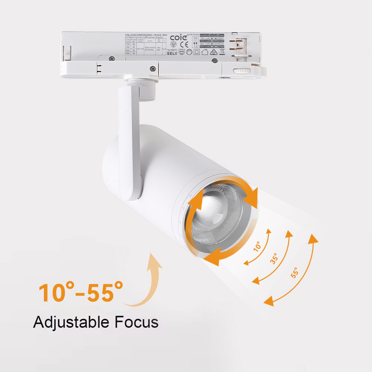 Focus track light