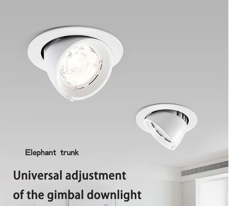 Downlight gimbal