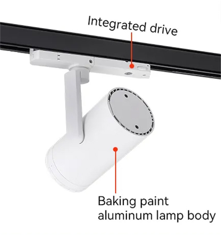 Integrated aluminum track lamp
