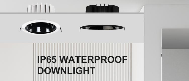 IP65 downlight
