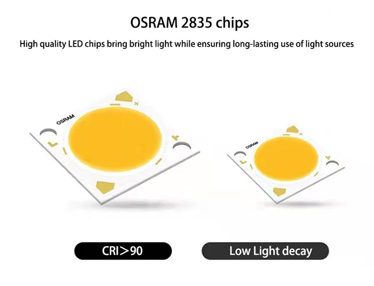 Led Chips