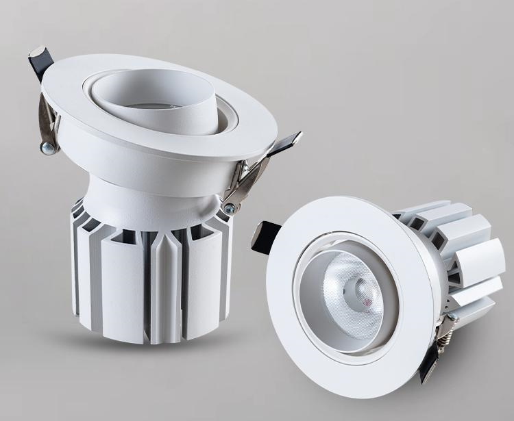 Led eyeball downlight