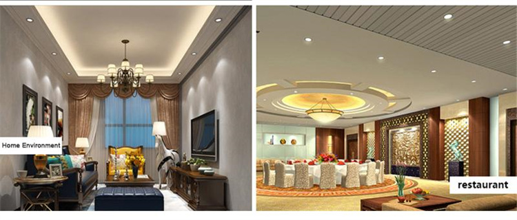 Smart led down lights