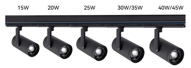 Track light watt