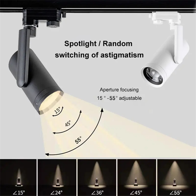 Zoom Track Light