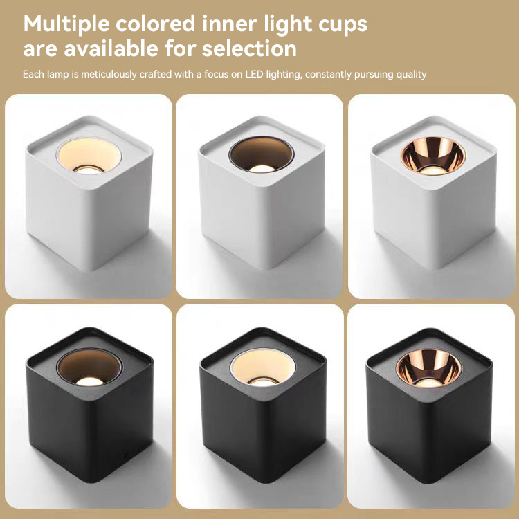 12W down light surface