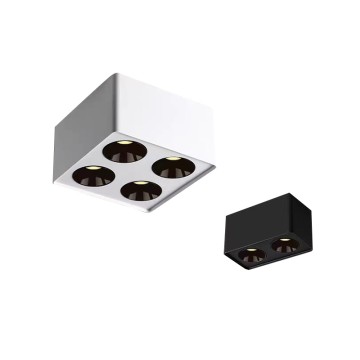 Anti-glare Led Double Cob Surface Downlight Factory FT-GL08*2