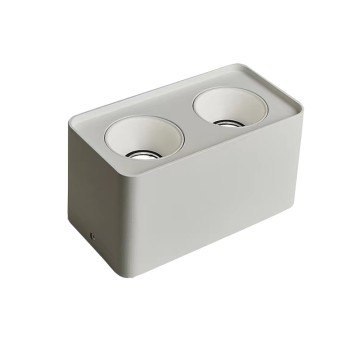 Anti-glare Led Double Cob Surface Downlight Factory FT-GL08*2