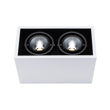 Adjustable Surface Mounted Downlight Concrete Ceiling Square Light FT-GL05*2