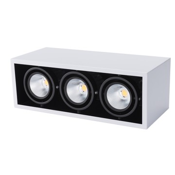 Adjustable Lighting Three Head 3*10W Ceiling Downlight FT-GL05*3