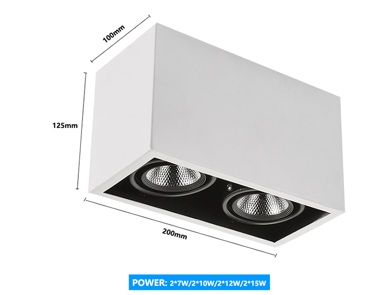 ceiling light surface mount