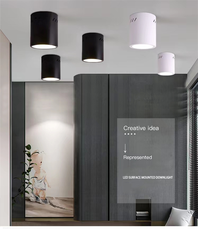 Ceiling light surface mount