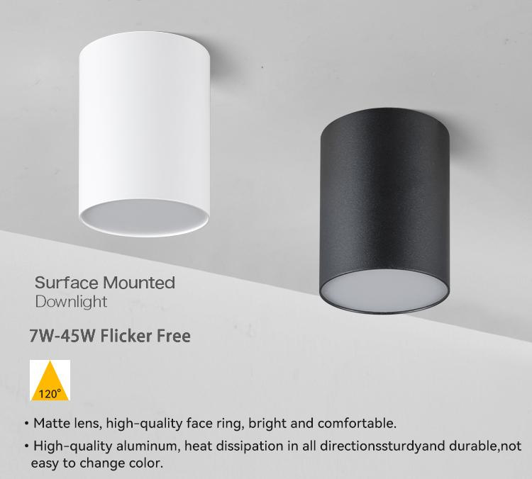 Cool white led downlights
