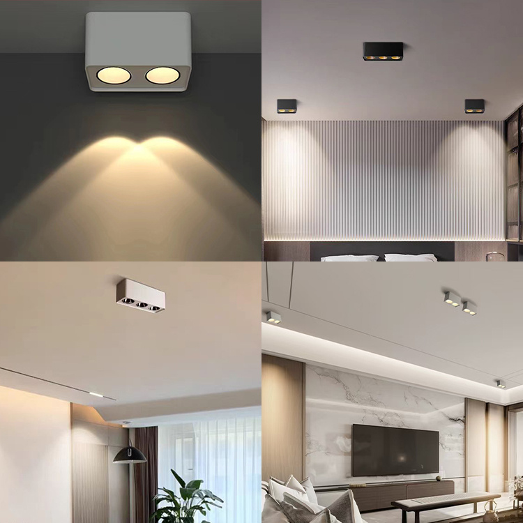Indoor downlight