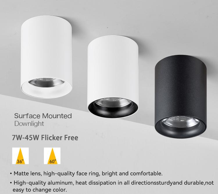 Integrated downlights
