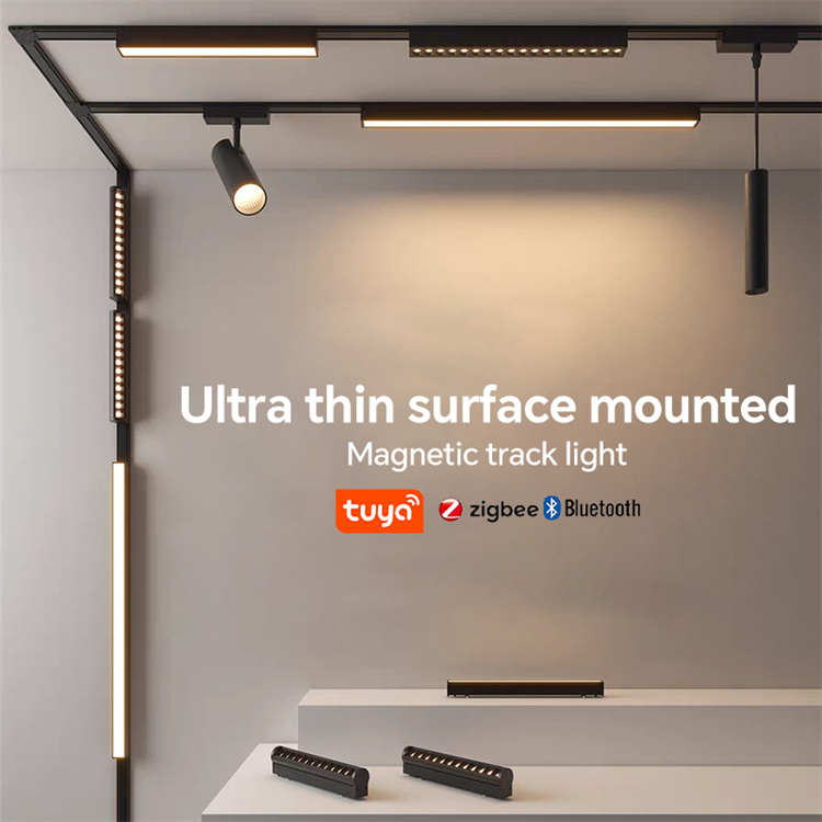 magnetic track light
