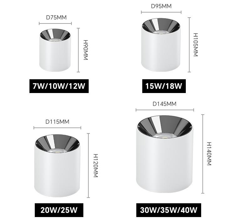 Mounted downlight