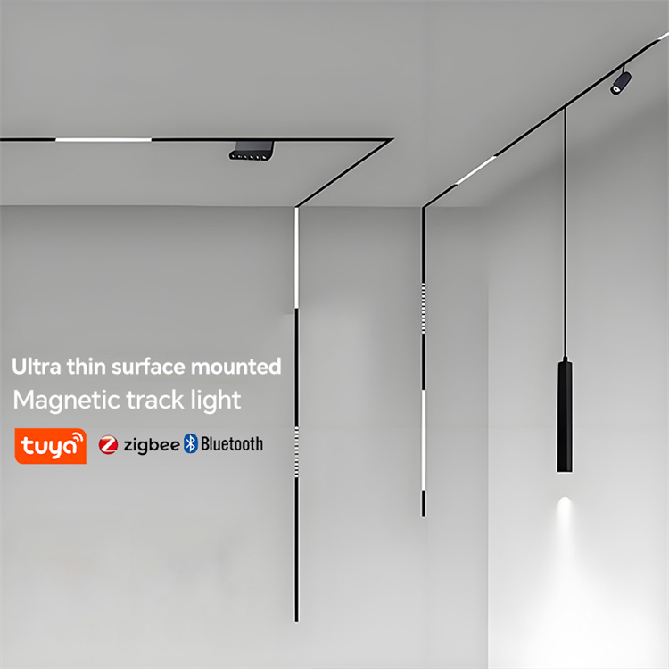 Tuya magnetic track light