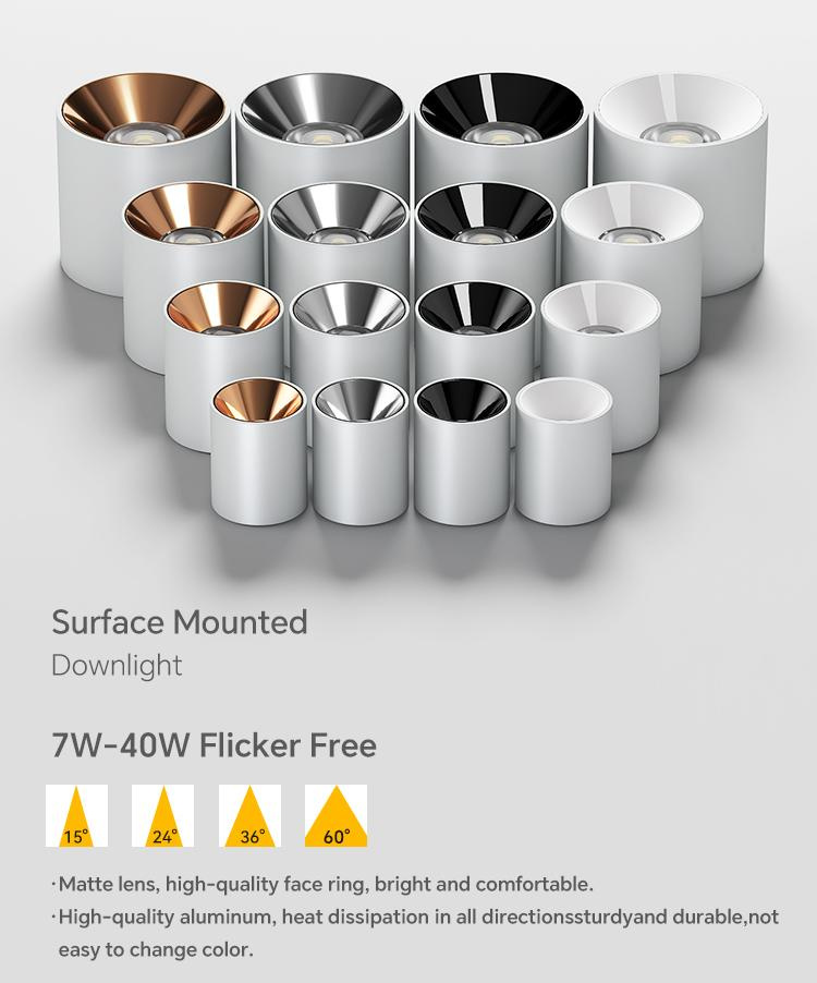 Flush mount spotlight