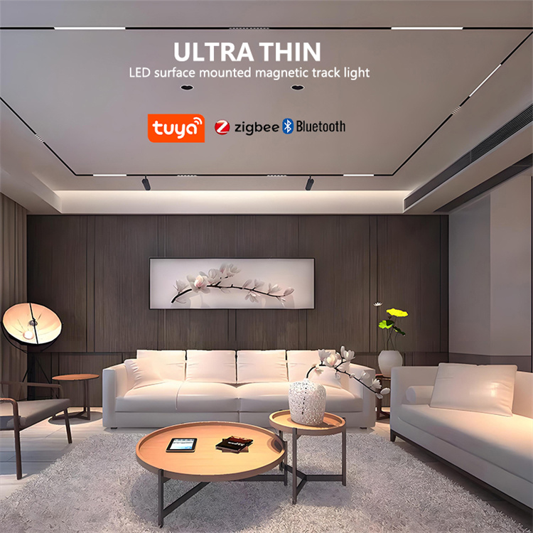 Ultra thin magnetic track light system1