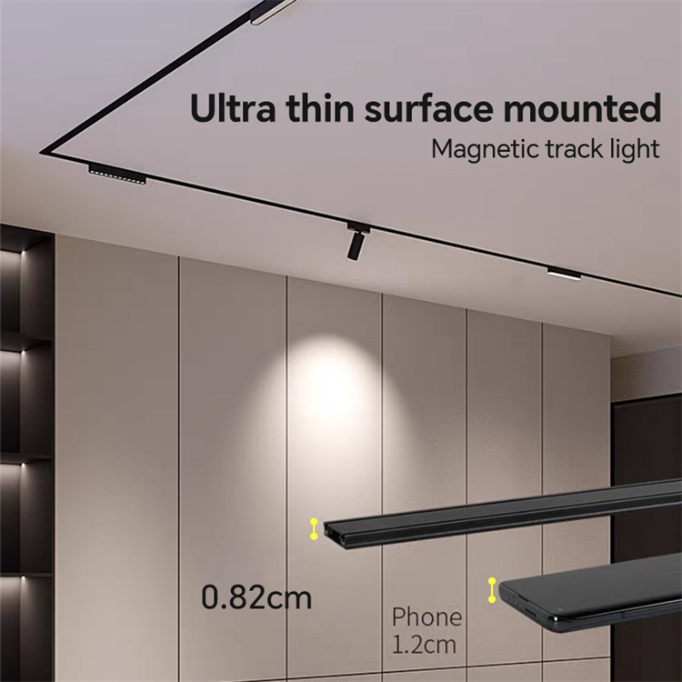 Ultra thin magnetic track light1