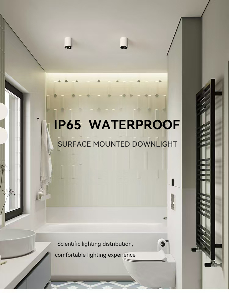 Waterproof downlights