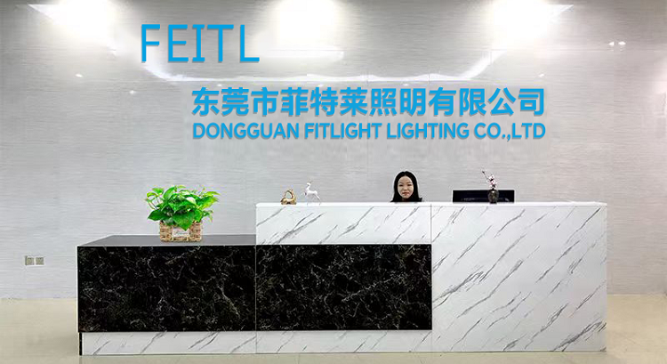 Which Brand Downlight is Best?