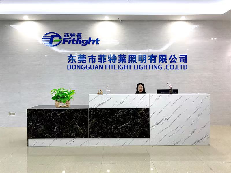 Fitlight: Securing the No.1 Spot Among China’s Top 10 Downlight Manufacturers—A Comprehensive Look at the Industry Leader