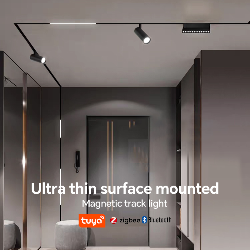 magnetic track light