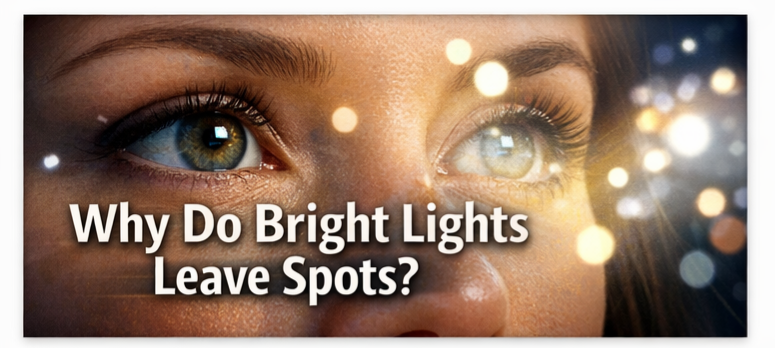 helles Spotlicht (1).png