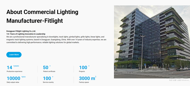 How about the downlights produced by the top manufacturer-Fitlight Lighting?