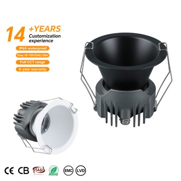 Outdoor IP65 Waterproof LED Downlight with Customizable Design