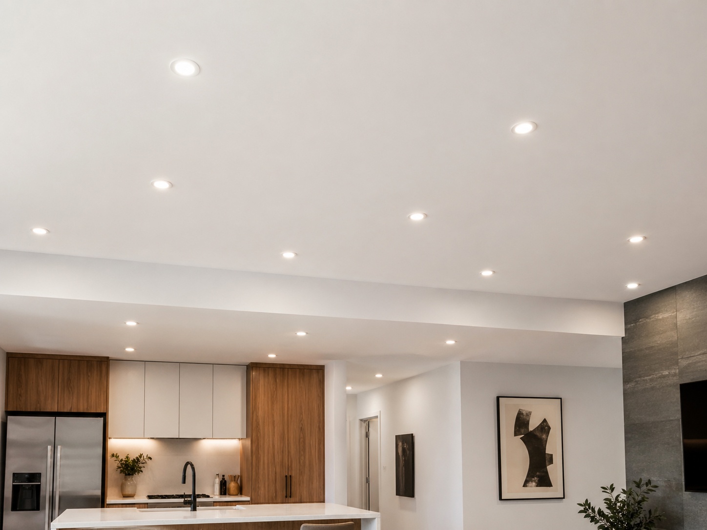 led recessed downlight (1).jpg