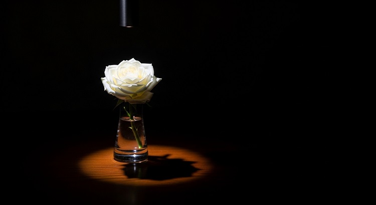 What Is a Pin Spot Light? | Professional LED Pin Spot Lighting by Fitlight