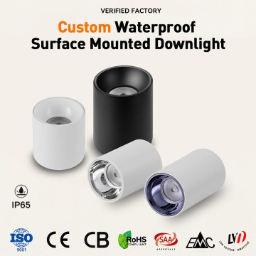 IP65 Waterproof LED Surface Mounted Cylinder Downlight-MDL15
