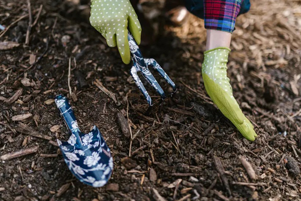 Gartengeräte, die Sie 2025 in Ihrem Garten anschaffen sollten