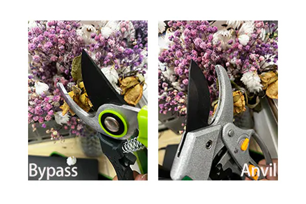 How to distinguish bypass pruner and anvil pruner