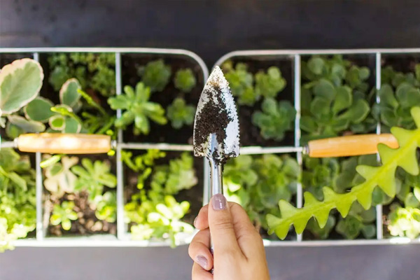 How to Pick the a wonderful Multi-function Soil Tester