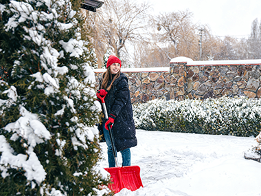 What should we prepared for backyard in winter