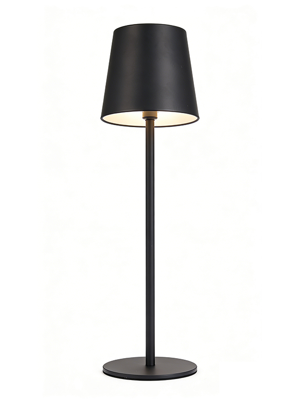 TL0105016-03.jpg