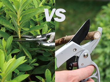 How to distinguish the bypass vs anvil pruners?